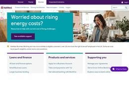 NatWest Business loan