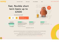 Sunny Loans Short-term loan